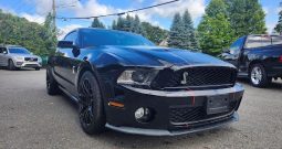 Ford Shelby GT500 2010