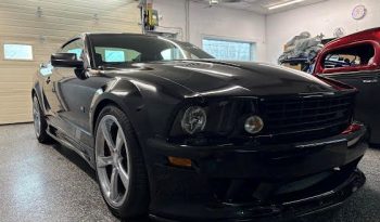 
Ford Mustang Saleen 2007 full									