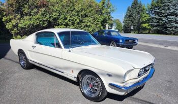 
Ford Mustang GT 1966 full									