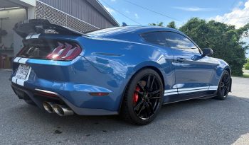 
Shelby GT500 2020 full									