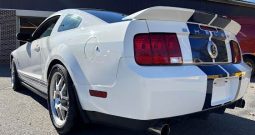 Ford Shelby GT500 2007